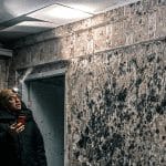 how-to-handle-mould-in-the-uk-for-malayalees