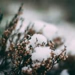 uk-winter-2024-start-dates-and-solstice-guide